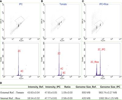 The genome size, chromosome number and the seed adaption to long-distance dispersal of Ipomoea pes-caprae (L.)